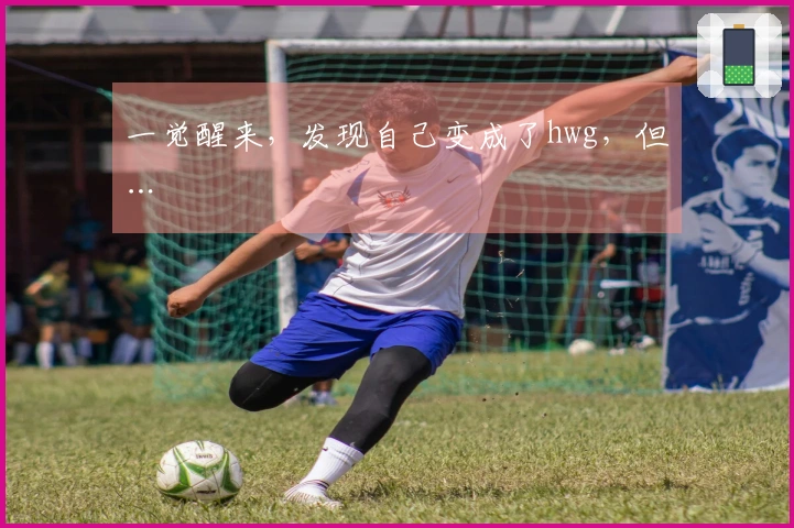 一觉醒来，发现自己变成了hwg，但…